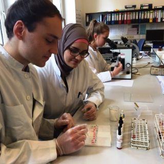 Bild: Zwei MTLA-Schüler führen eine Laboruntersuchung durch