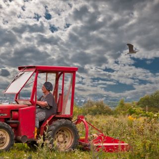 Traktor auf einem Fled