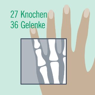 Download Infografik Hand Knochen