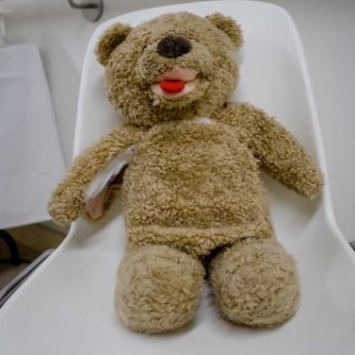 Teddybär
