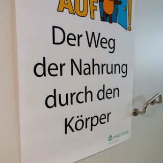Der Weg der Nahrung