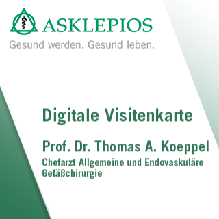 Bild Digitale Visitenkarte Prof. Dr. Thomas Koeppel