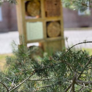 Insektenhotel