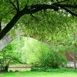 Park