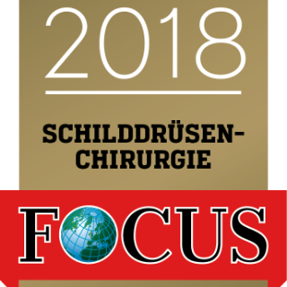 Focus 2018