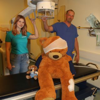 Das Motiv zeigt die Teddyklinik beim Tag der offenen Tür