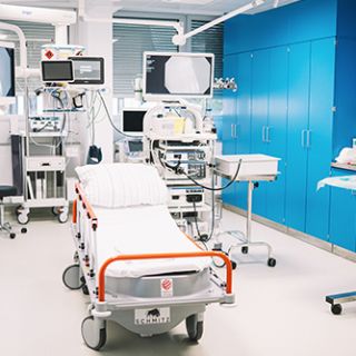 APK-Endo2-24