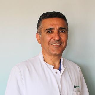Davood Beigloo