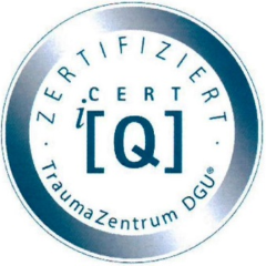 Logo Lokales Traumazentrum LogoTraumazentrum