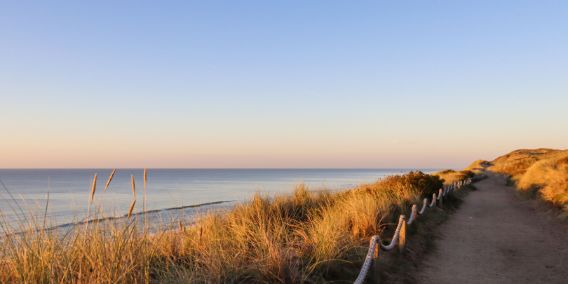 Bild: Strand auf Sylt