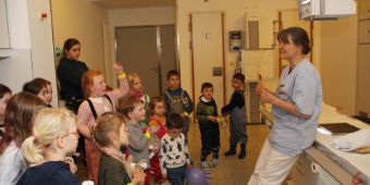 kiga IMG_8996 kiga IMG_8996
