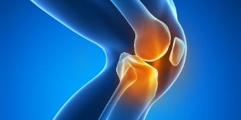 kniegelenk-shutterstock