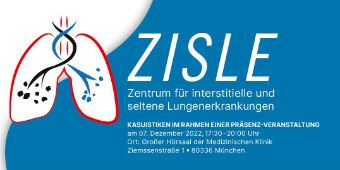 Bild Zisle