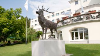 Bild: Außenansicht der Asklepios Hirschpark Klinik mit Hirsch