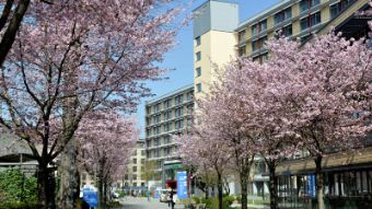 Foto Außenansicht Asklepios Klinik St. Georg - Kirschbaumallee