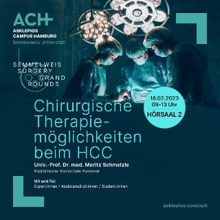 SSGR Visual Chirurgische Therapiemöglichkeiten beim HCC