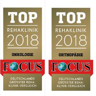 Top 100 Focus 2018