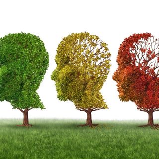 demennz-shutterstock demennz-shutterstock