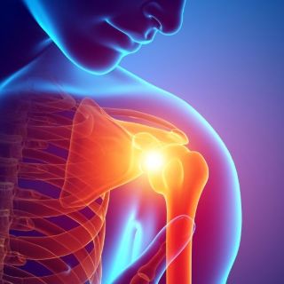 shutterstock_SCHULTER shutterstock_SCHULTER