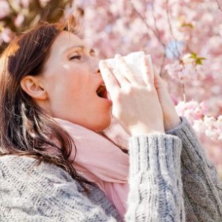 Heuschnupfen mit oder ohne Asthma?