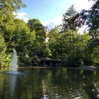 Waldbaden Schaufling Außengelände