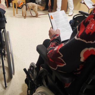 Der Duft von Punsch, Stollen und Lebkuchen zog durch die Flure der Abteilung der Neurologischen Frührehabilitation, während Vorlesegeschichten und Gesang die Patientinnen und Patienten in eine besinnliche Vorweihnachtsstimmung brachten  - die Kolleginnen und Kollegen hatten unter anderem für sie eine kleine Weihnachtsfeier organisiert, auch Therapiehündin Lotte nahm an der Feier in der Asklepios Klinik Schildautal teil.