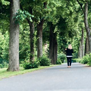 Asklepios_Fachklinik_Teupitz_Allee