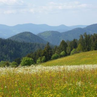 triberg-schwarzwald