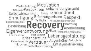 Bild Recovery