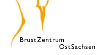 BZOS Logo