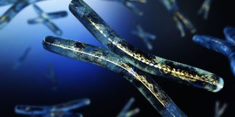 Bild: Chromosom
