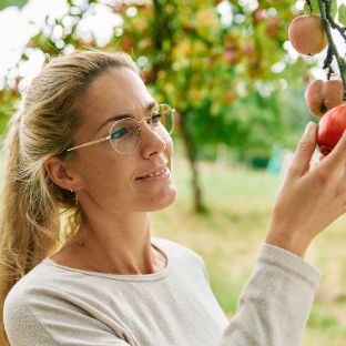 Junge Frau betrachtet einen Apfel an einem Apfelbaum