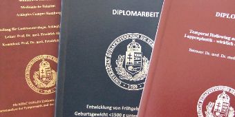 Diplomarbeiten am Asklepios Campus Hamburg