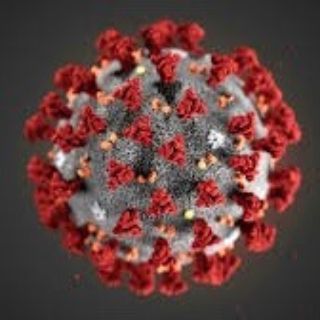 20200314_K2_Corona