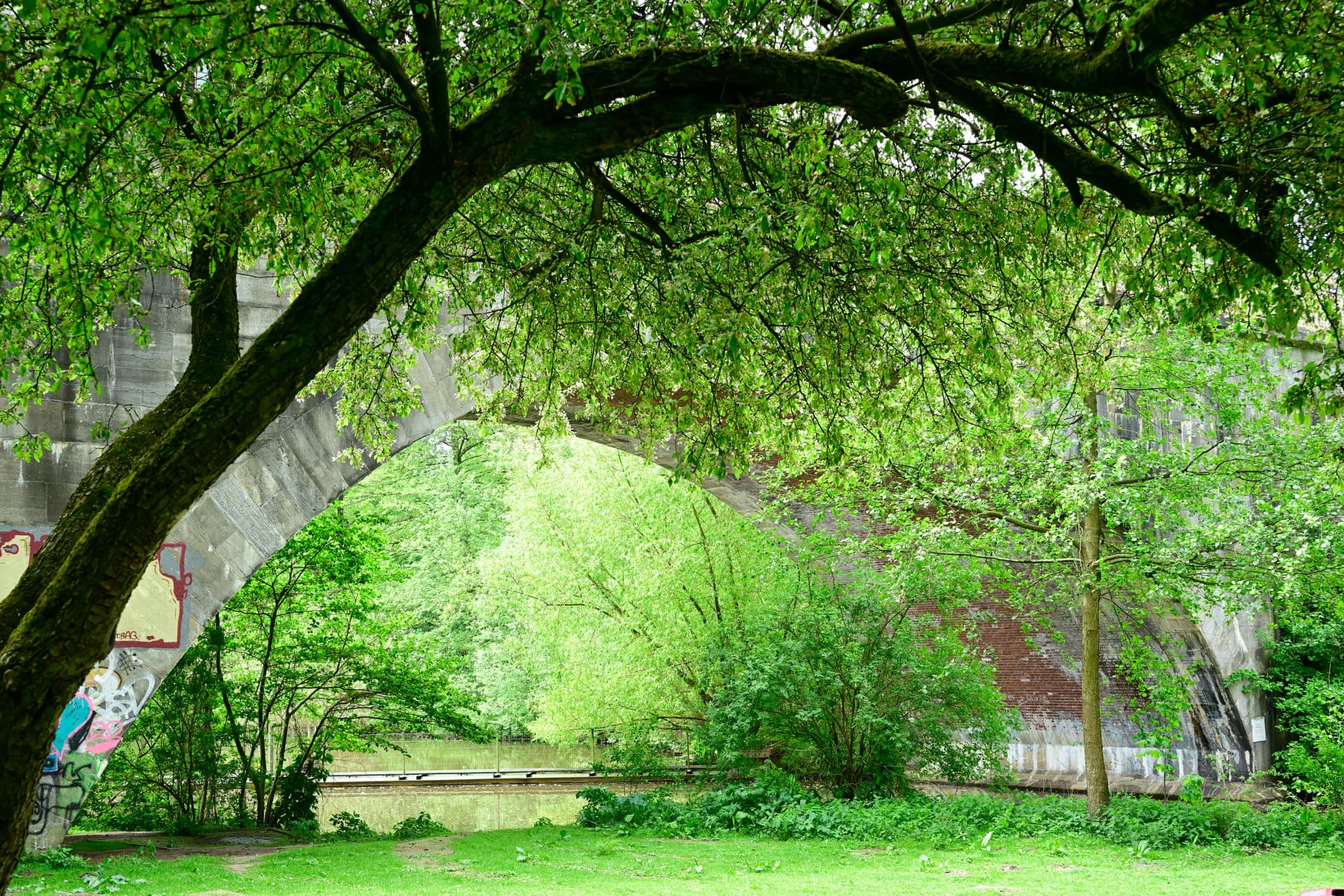 Park