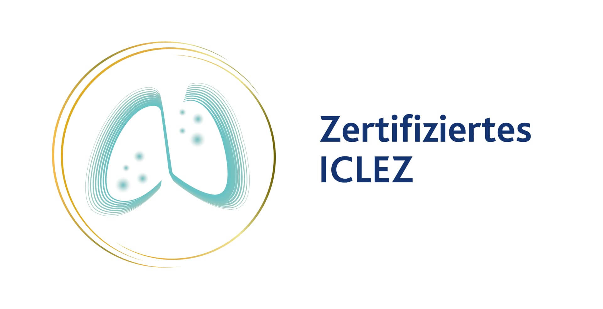 Bild: Zertifikat ICLEZ