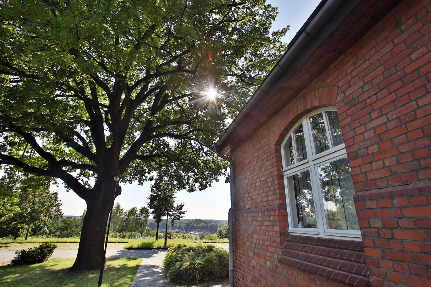 Das Bild zeigt rechts einen Baum und links ein Backsteinhaus mit Fenster