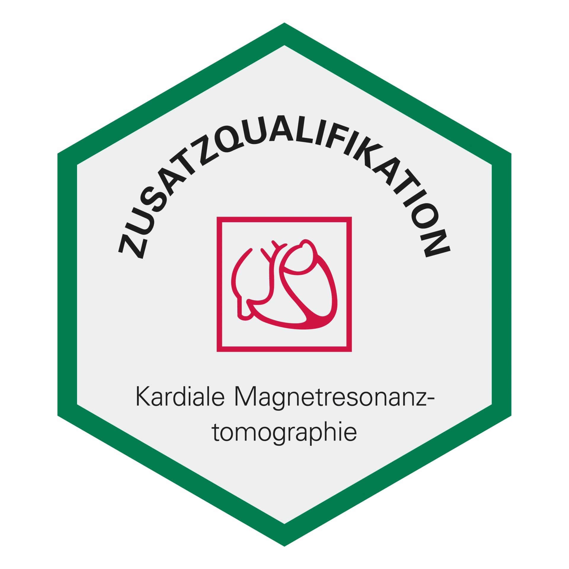 siegel-prof-stremmel-Zusatzqualifikation-Kardiale-Magnetresonanztomographie