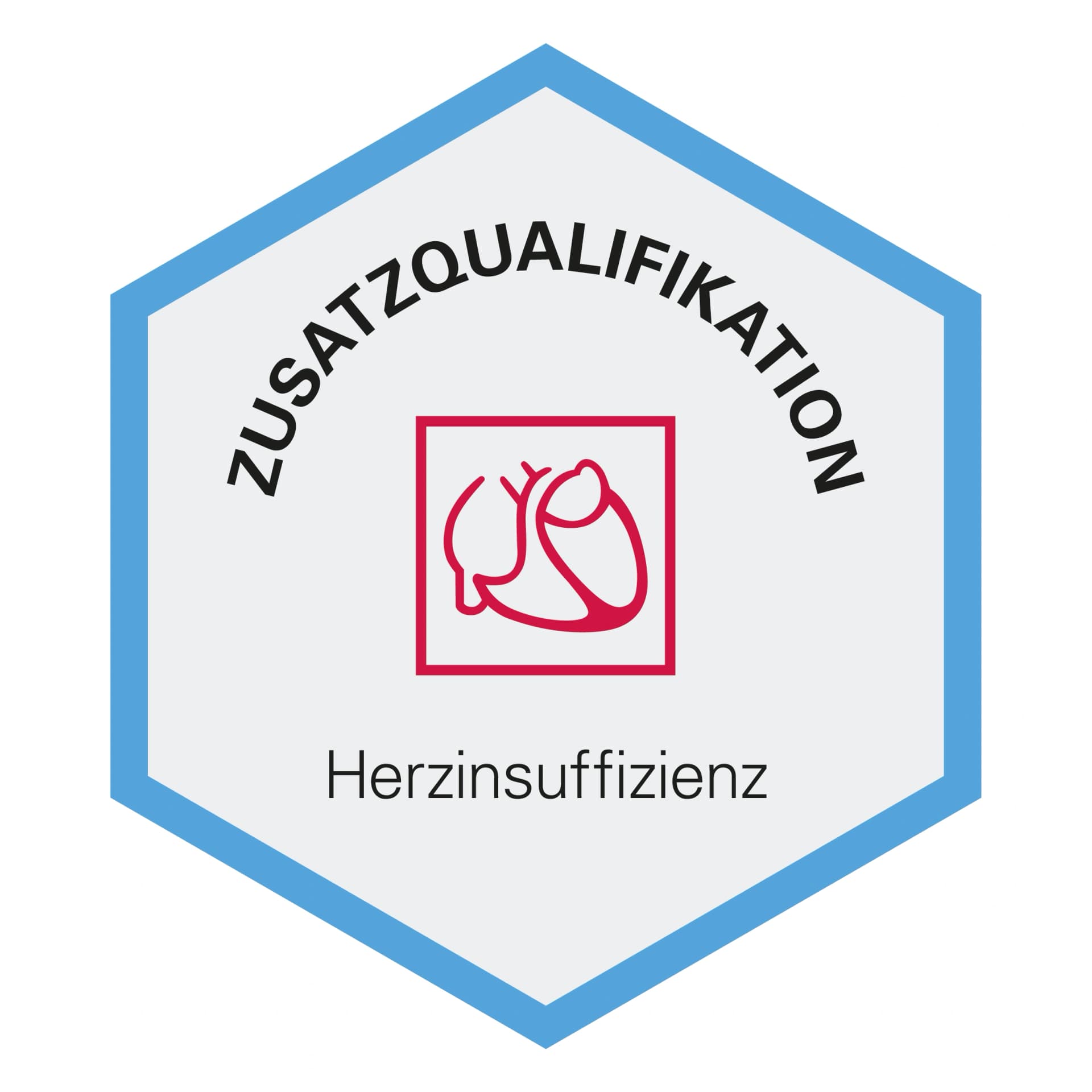 siegel-prof-stremmel-Zusatzqualifikation-Herzinsuffizienz