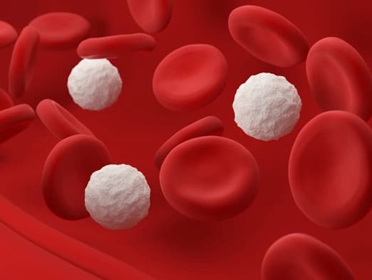Bild: Blut