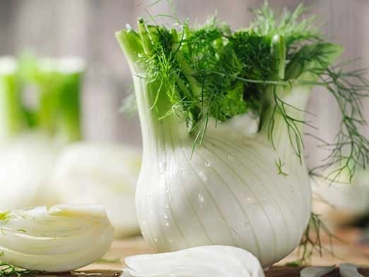 Bild: Fenchel-Knolle