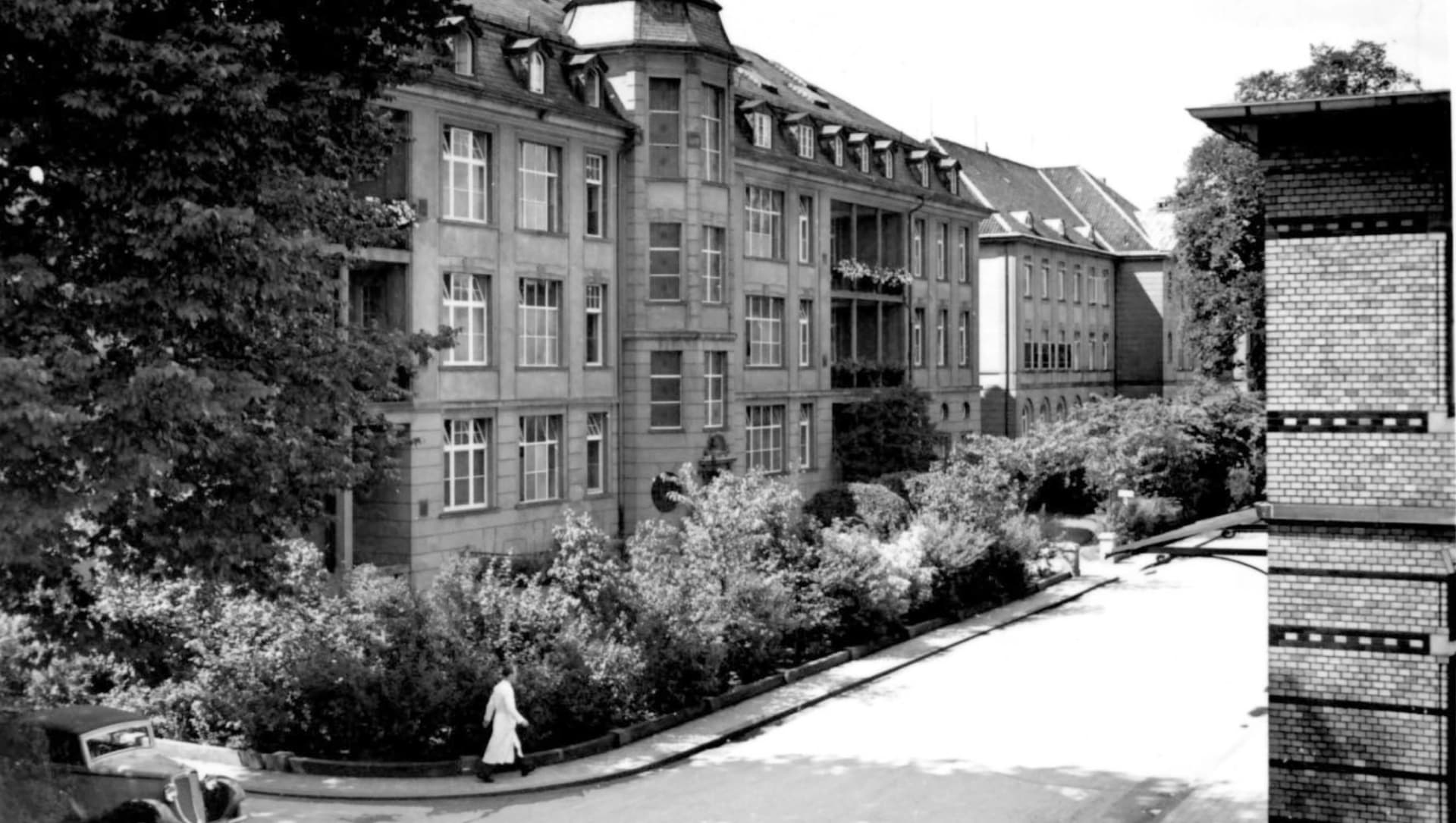 Das Foto zeigt einen Teil der Kirschbaumallee des Allgemeinen Krankenhauses St. Georg