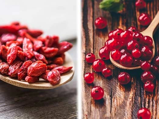Bild: Goji- und Johannisbeeren