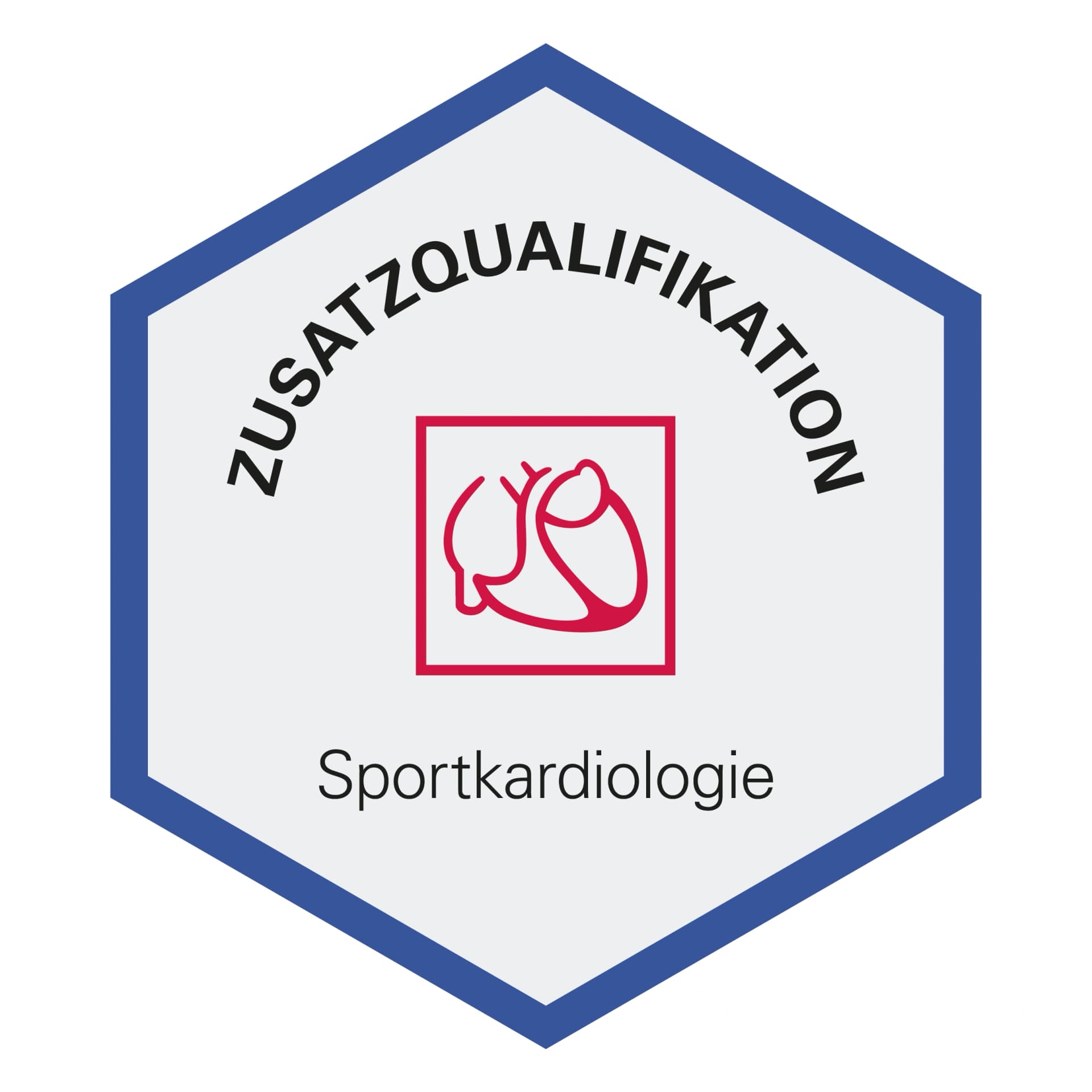 siegel-prof-stremmel-Zusatzqualifikation-Sportkardiologie