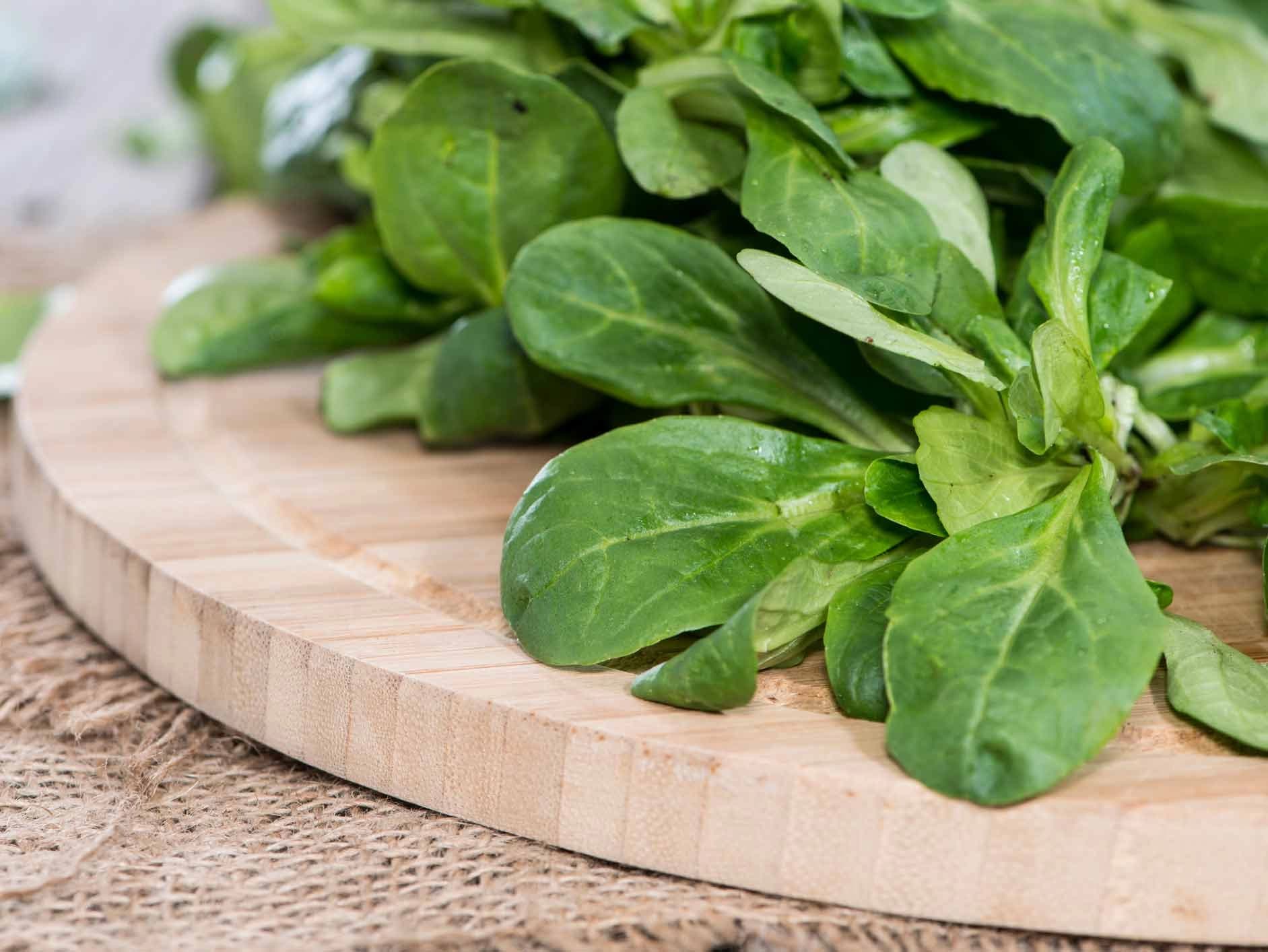 Bild: Feldsalat in einem Sieb