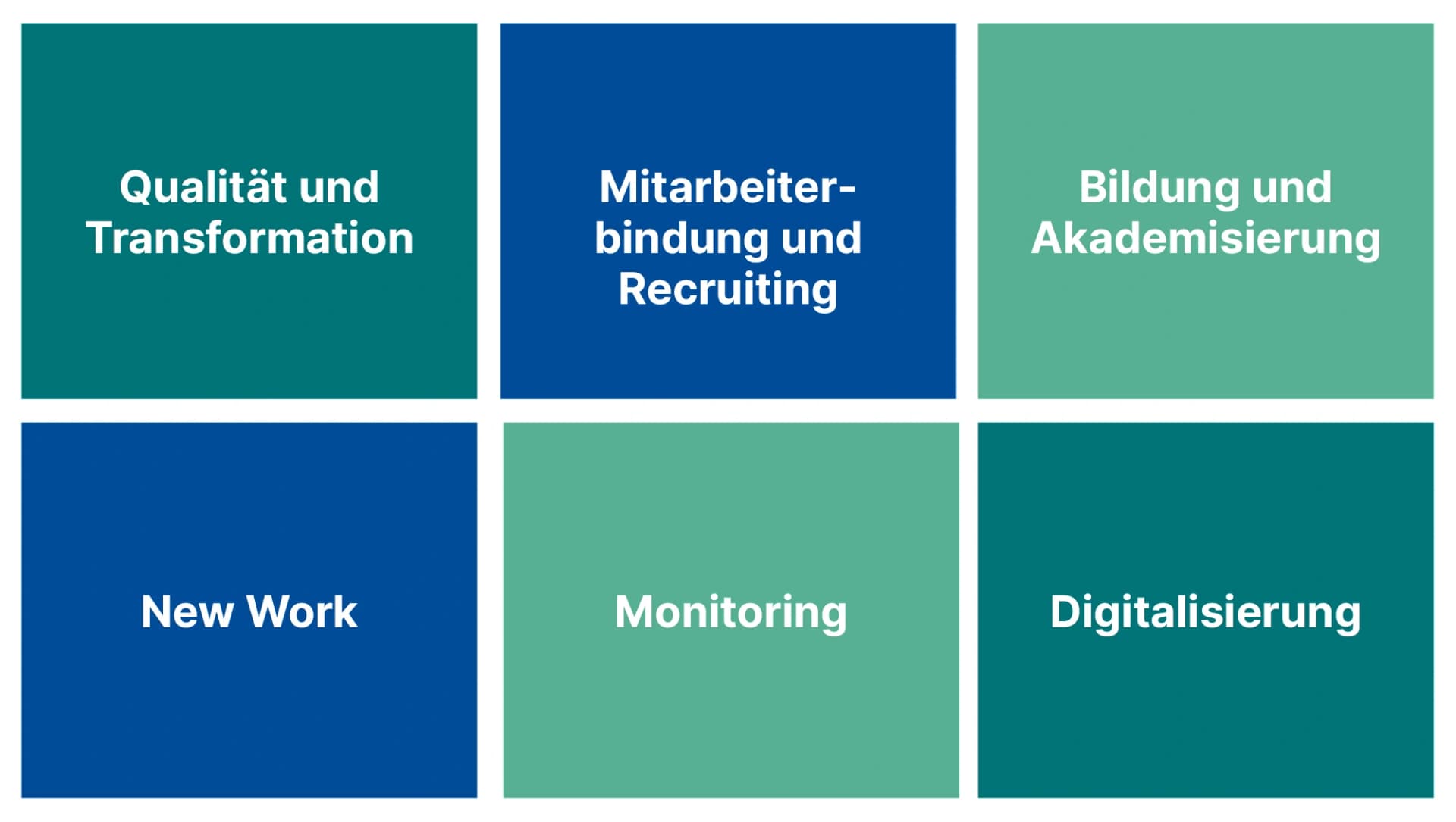 Bild: Die sechs Themenfelder der Unternehmensinitiative PFLEGE WEITERGEDACHT: Qualität und Transformation, Mitarbeiterbindung und Recruiting, Bildung und Akademisierung, New Work, Monitoring und Digitalisierung