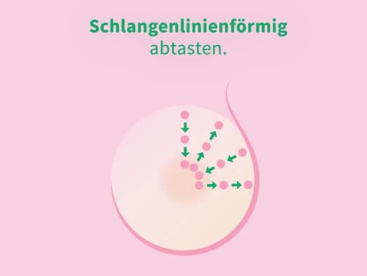 Grafik: Brustkrebsvorsorge Selbstuntersuchung Schritt 3