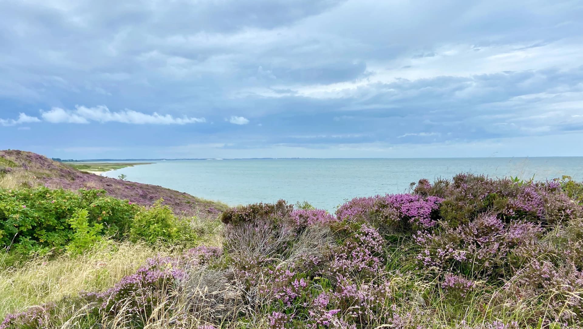 Das Motiv zeigt die Heidelandschaft in der Braderuper Heide mit der Nordsee im Hintergrund.