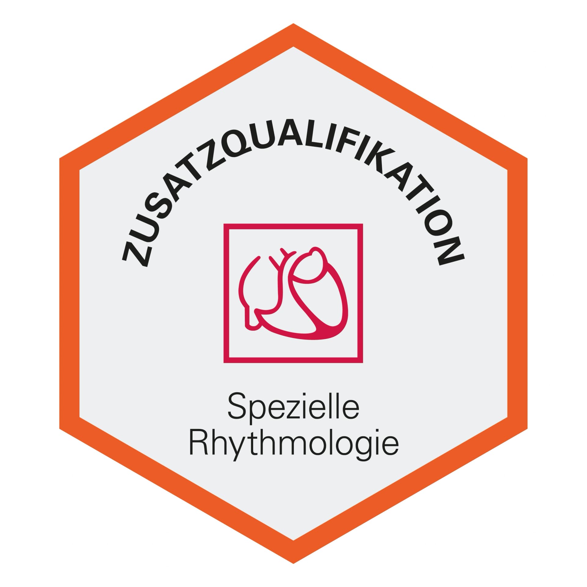 siegel-prof-stremmel-Zusatzqualifikation-Spezielle-Rhythmologie