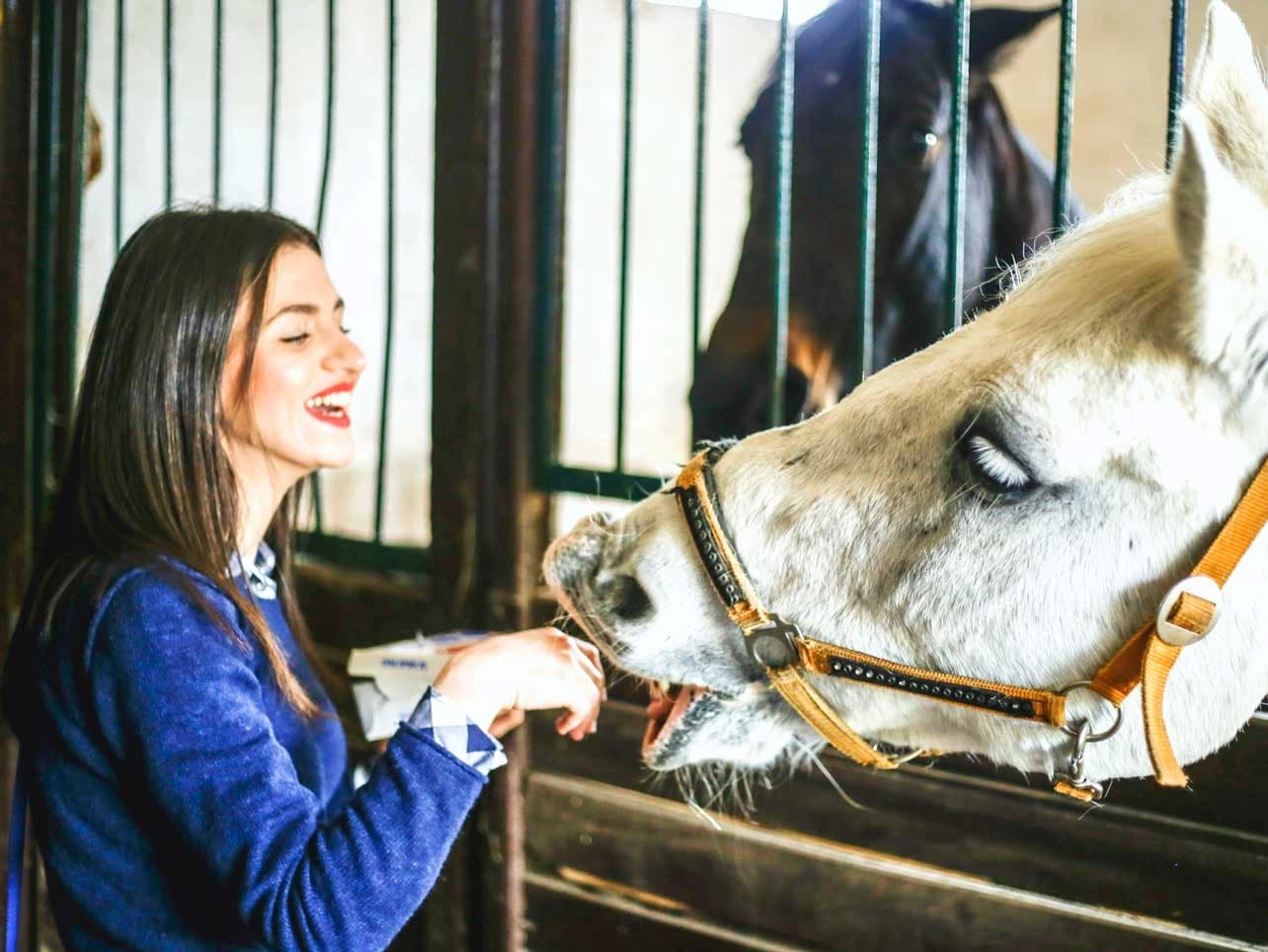Bild: Junge Frau mit Pferd